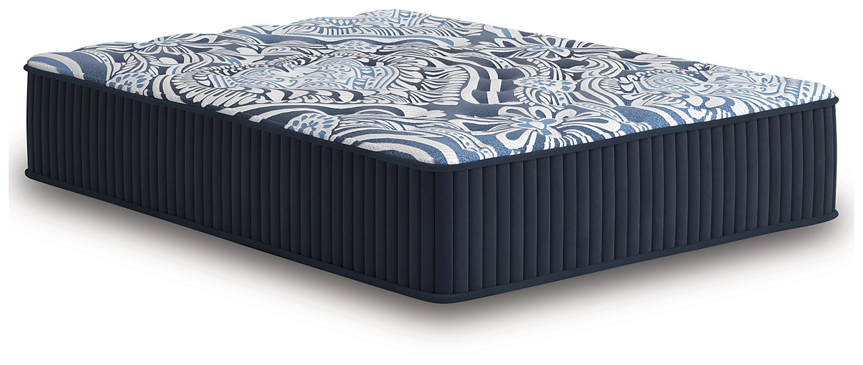 Firm Luxe 2.0 Mattress - U&U Home Budget Furniture (Carteret, NJ)