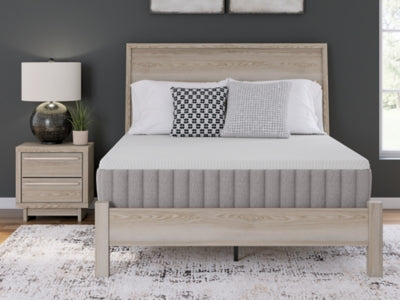 Terra Sleep Medium Mattress - U&U Home Budget Furniture (Carteret, NJ)
