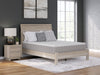 Terra Sleep Medium Mattress - U&U Home Budget Furniture (Carteret, NJ)