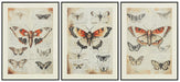 Jossletts Wall Art (Set of 3) - U&U Home Budget Furniture (Carteret, NJ)