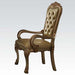 Acme Dresden Arm Chair in Gold Patina (Set of 2) 63154 - U&U Home Budget Furniture (Carteret, NJ)