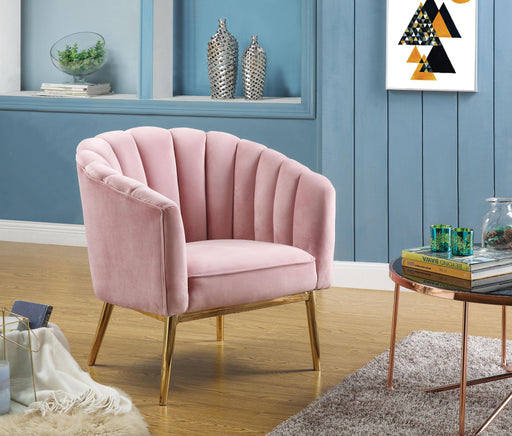 Colla Blush Pink Velvet & Gold Accent Chair - U&U Home Budget Furniture (Carteret, NJ)