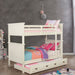 Marci Trundle - U&U Home Budget Furniture (Carteret, NJ)