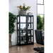 Vilas Black Curio Cabinet - U&U Home Budget Furniture (Carteret, NJ)