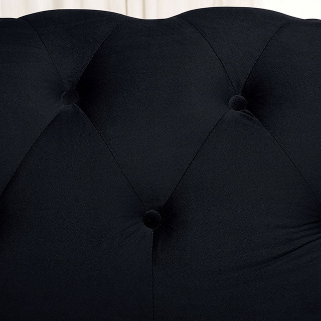 Giacomo Chair Black & Blue - U&U Home Budget Furniture (Carteret, NJ)
