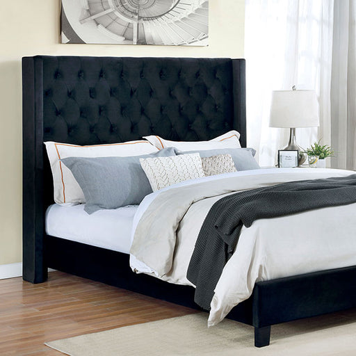 Ryleigh Bed Black, Grey, & Navy - U&U Home Budget Furniture (Carteret, NJ)