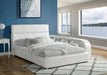 Vodice Bookcase - U&U Home Budget Furniture (Carteret, NJ)