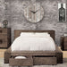 Janeiro Bed Brown & Grey - U&U Home Budget Furniture (Carteret, NJ)