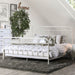 Iria Bed Brown & Black - U&U Home Budget Furniture (Carteret, NJ)