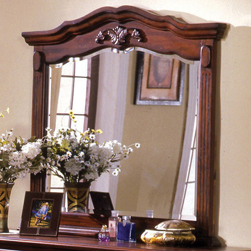 Lewisburg Mirror - U&U Home Budget Furniture (Carteret, NJ)