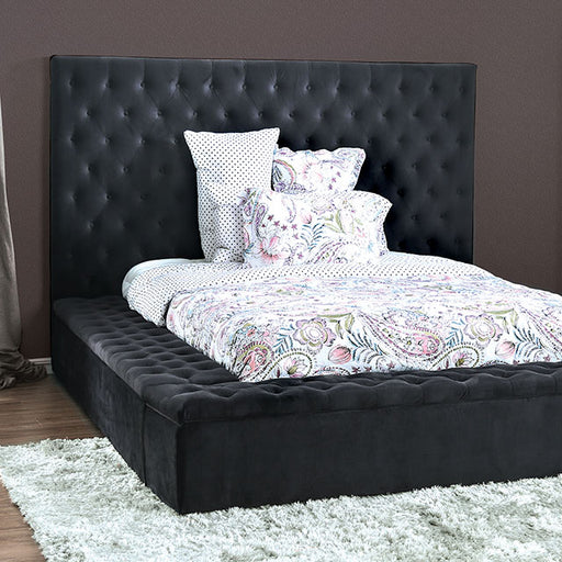 Davida Cal.King & E.King Bed - U&U Home Budget Furniture (Carteret, NJ)