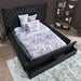 Davida Cal.King & E.King Bed - U&U Home Budget Furniture (Carteret, NJ)
