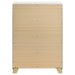 Caraway Chest - U&U Home Budget Furniture (Carteret, NJ)