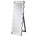 Brixey Standing Mirror - U&U Home Budget Furniture (Carteret, NJ)