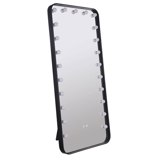 Canton Standing Mirror - U&U Home Budget Furniture (Carteret, NJ)