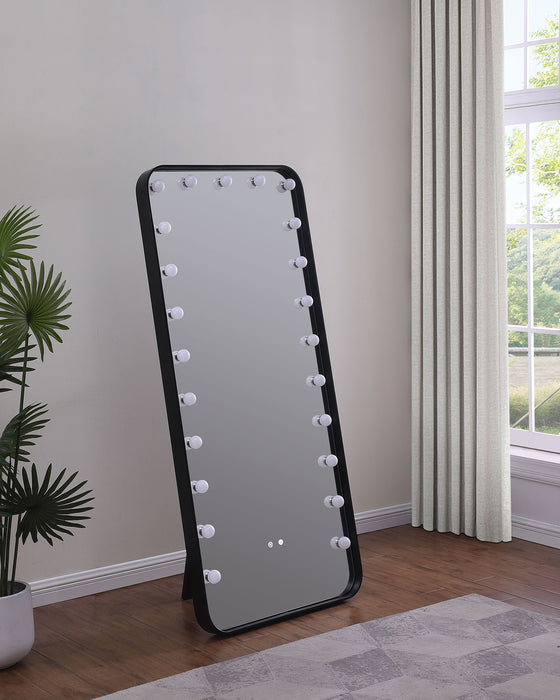 Canton Standing Mirror - U&U Home Budget Furniture (Carteret, NJ)