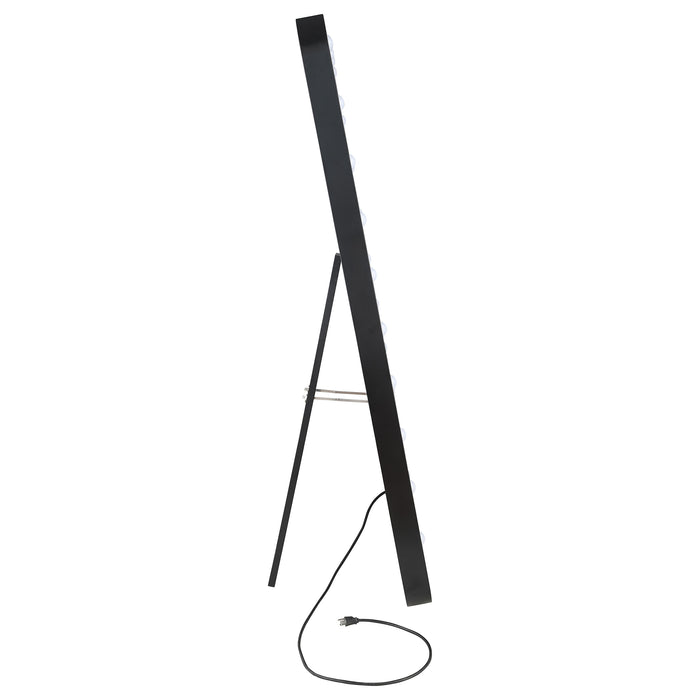 Canton Standing Mirror - U&U Home Budget Furniture (Carteret, NJ)