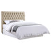 Chloe Full Headboard - U&U Home Budget Furniture (Carteret, NJ)