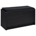 Arrington Shoe Cabinet - U&U Home Budget Furniture (Carteret, NJ)