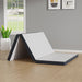 Hollyhock Mattress - U&U Home Budget Furniture (Carteret, NJ)