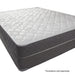 Kalei 8 Tight Top Mattress (Non-Flip) - U&U Home Budget Furniture (Carteret, NJ)