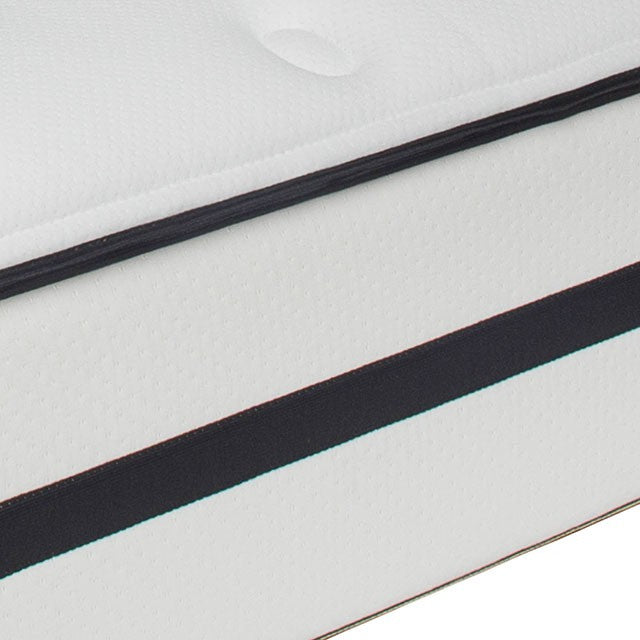 Kastel Queen Mattress - U&U Home Budget Furniture (Carteret, NJ)