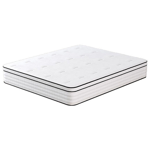 Salvia 12" Full Hybrid Pocket Coil Mattress - U&U Home Budget Furniture (Carteret, NJ)