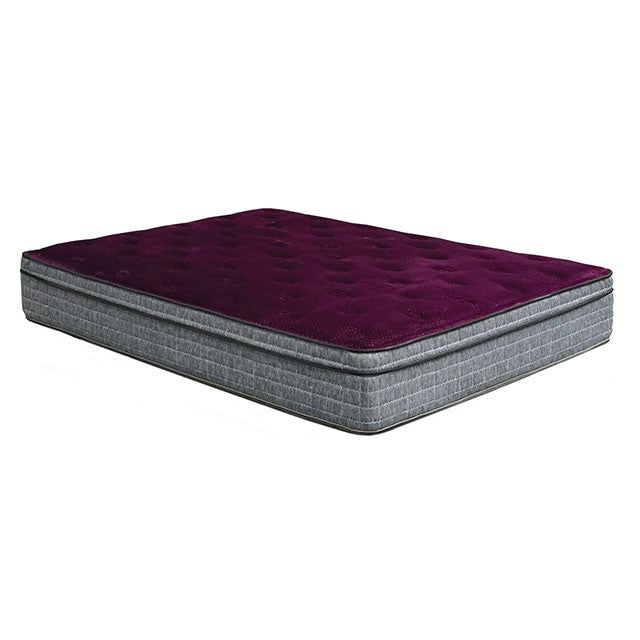 Minnetonka 13" Euro Pillow Top Mattress - U&U Home Budget Furniture (Carteret, NJ)