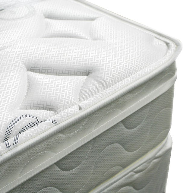 Jalen 9 Euro Top Mattress Non-Flip - U&U Home Budget Furniture (Carteret, NJ)