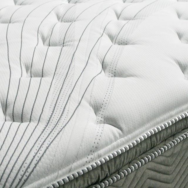 Stormin 13 Euro Pillow Top Gel Infused Memory Foam - U&U Home Budget Furniture (Carteret, NJ)