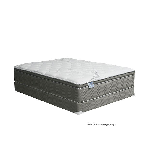 Stormin 13 Euro Pillow Top Gel Infused Memory Foam - U&U Home Budget Furniture (Carteret, NJ)