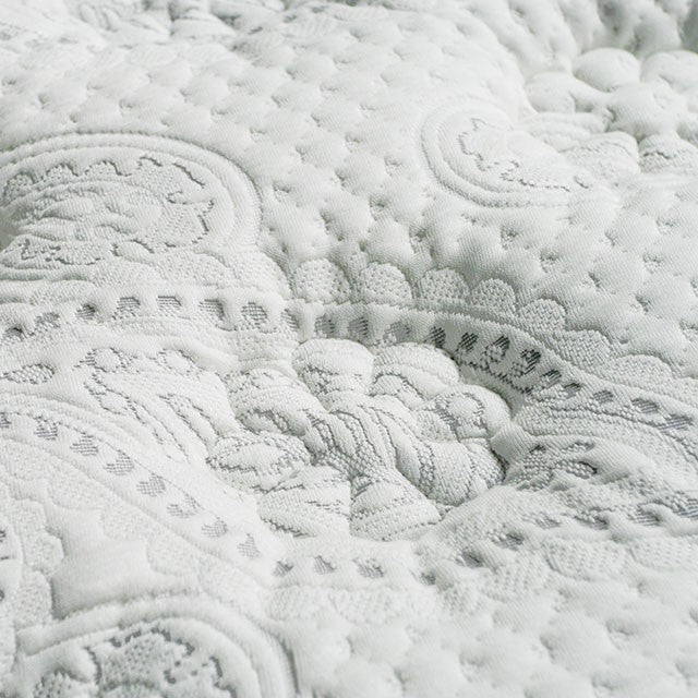 Siddalee 16 Euro Pillow Top 2.5 Gel Infused Memory Foam - U&U Home Budget Furniture (Carteret, NJ)