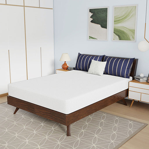 Nasturtium 8" Full Bamboo Charcoal Infused Memory Foam - U&U Home Budget Furniture (Carteret, NJ)