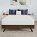 Nasturtium 8" Full Bamboo Charcoal Infused Memory Foam - U&U Home Budget Furniture (Carteret, NJ)