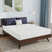 Nasturtium 8" Queen Bamboo Charcoal Infused Memory Foam - U&U Home Budget Furniture (Carteret, NJ)