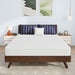 Nasturtium 8" Queen Bamboo Charcoal Infused Memory Foam - U&U Home Budget Furniture (Carteret, NJ)