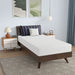 Nasturtium 8" Twin Bamboo Charcoal Infused Memory Foam - U&U Home Budget Furniture (Carteret, NJ)