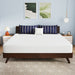 Nasturtium 10" E.King Bamboo Charcoal Infused Memory Foam - U&U Home Budget Furniture (Carteret, NJ)