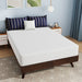 Nasturtium 10" Full Bamboo Charcoal Infused Memory Foam - U&U Home Budget Furniture (Carteret, NJ)