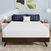 Nasturtium 10" Queen Bamboo Charcoal Infused Memory Foam - U&U Home Budget Furniture (Carteret, NJ)