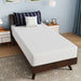 Nasturtium 10" Twin Bamboo Charcoal Infused Memory Foam - U&U Home Budget Furniture (Carteret, NJ)