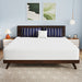 Nasturtium 12" E.King Bamboo Charcoal Infused Memory Foam - U&U Home Budget Furniture (Carteret, NJ)