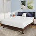 Nasturtium 12" Queen Bamboo Charcoal Infused Memory Foam - U&U Home Budget Furniture (Carteret, NJ)