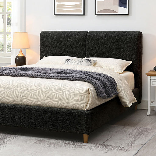 Stavern Bed Black & Grey - U&U Home Budget Furniture (Carteret, NJ)