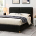 Stavern Bed Black & Grey - U&U Home Budget Furniture (Carteret, NJ)