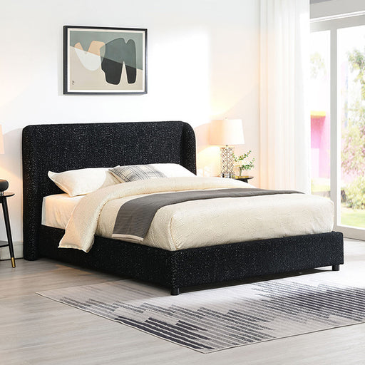 Laverni Bed Black, Grey & White - U&U Home Budget Furniture (Carteret, NJ)