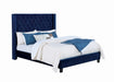 Ryleigh Bed Black, Grey, & Navy - U&U Home Budget Furniture (Carteret, NJ)