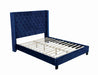 Ryleigh Bed Black, Grey, & Navy - U&U Home Budget Furniture (Carteret, NJ)