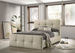Merced Queen Bed - U&U Home Budget Furniture (Carteret, NJ)