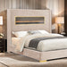Danvers Bed Beige, Black, & Grey - U&U Home Budget Furniture (Carteret, NJ)
